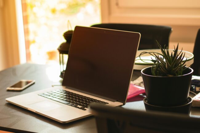 Unlimited Domain Appraisal Tool