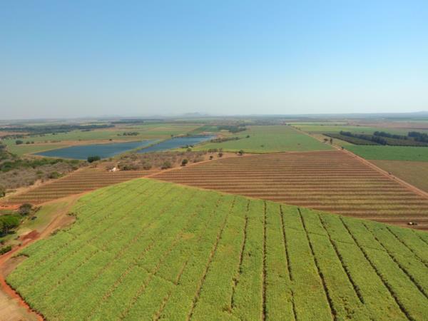 Experienced Land Traders